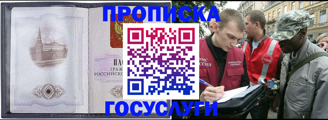 прописка 2025 в Сельцо